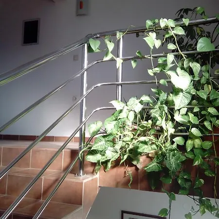 Apartmani Kapitanovic Biograd Na Moru
